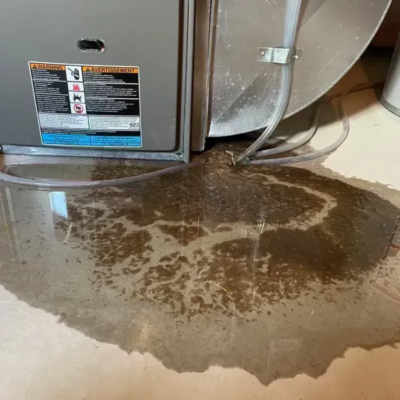 Appliance Leak Cleanup in Edwardsville, IL